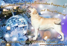 Besr wishes from YANKEE GOODWILL labradors!